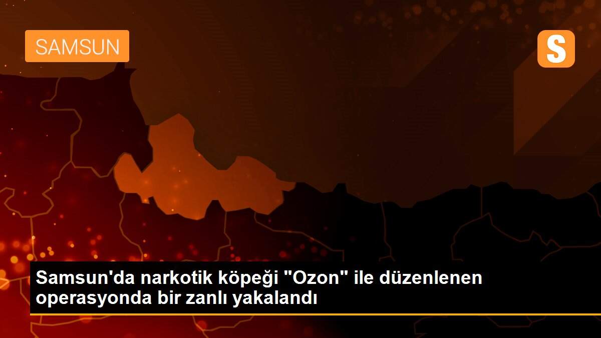 Son dakika haberleri: Samsun\'da narkotik köpeği "Ozon" ile düzenlenen operasyonda bir zanlı yakalandı