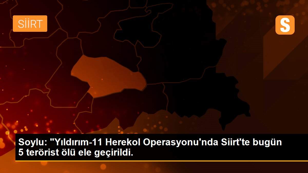 Soylu: "Yıldırım-11 Herekol Operasyonu\'nda Siirt\'te bugün 5 terörist ölü ele geçirildi.