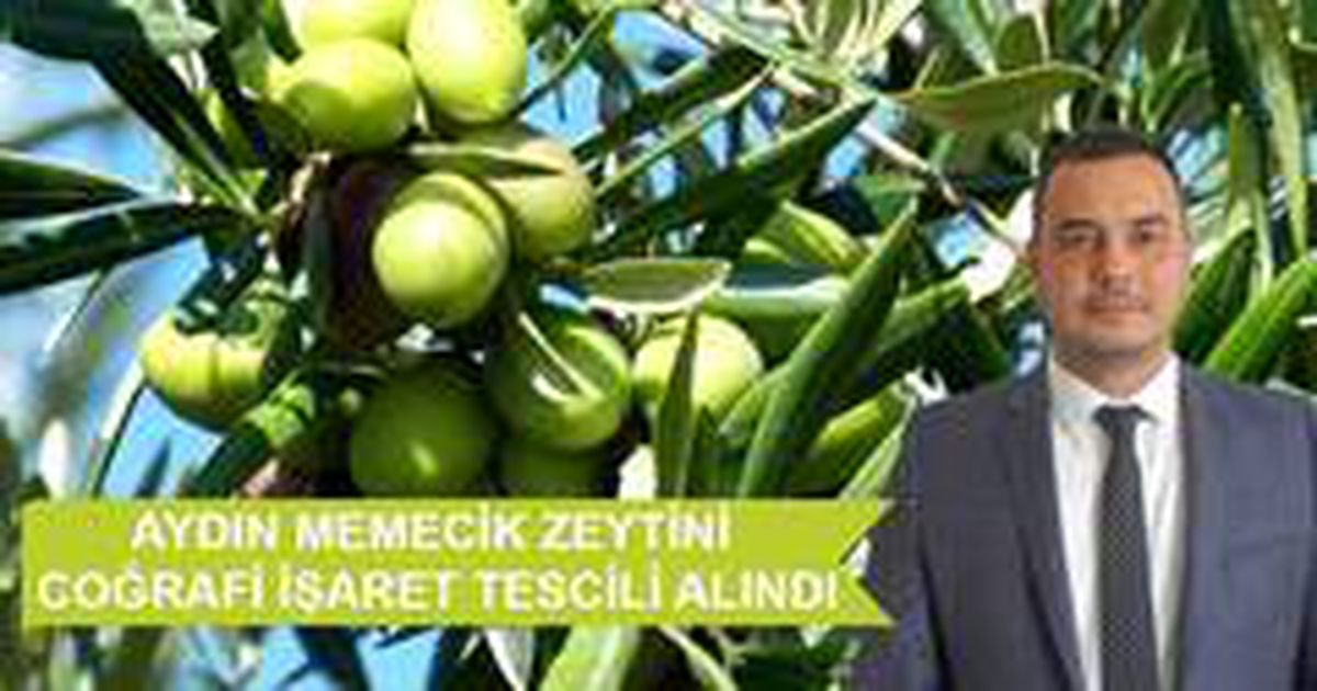 ATB, Aydın Memecik Zeytini Coğrafi İşaret Tescili\'ni aldı