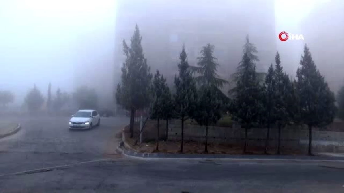 Kilis\'te yoğun sis etkili oldu
