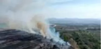 Kızılırmak Deltası'ndaki yangın, UNESCO sürecini etkilemeyecek (2)