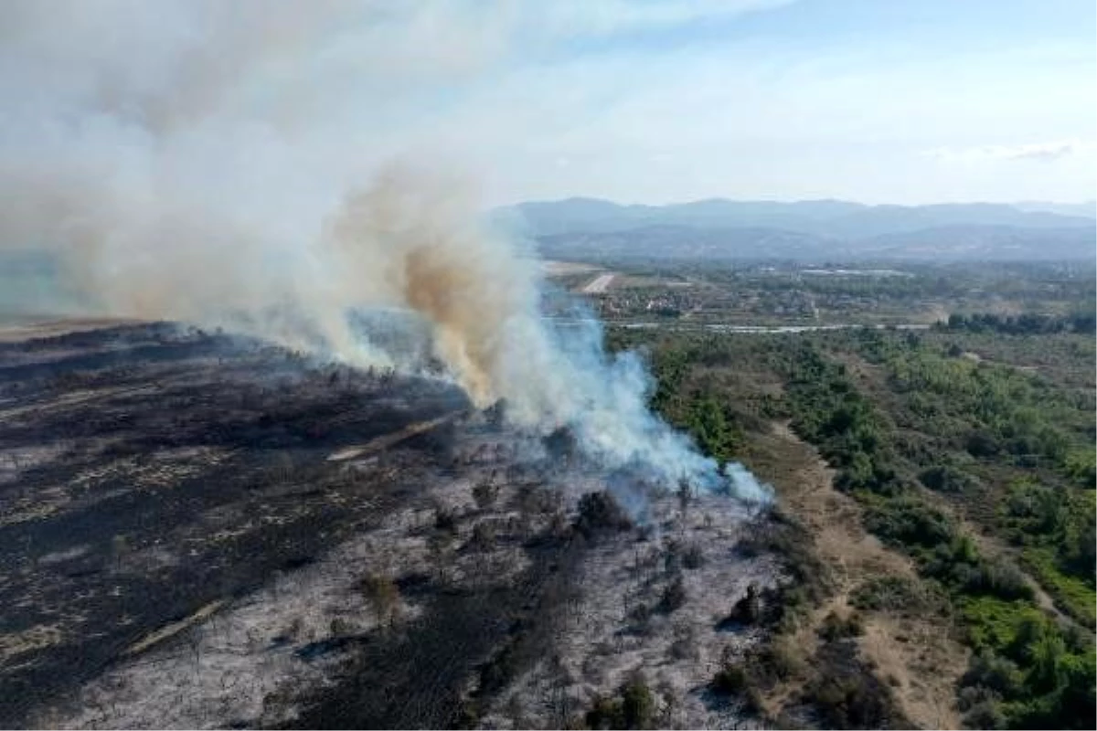 Kızılırmak Deltası\'ndaki yangın, UNESCO sürecini etkilemeyecek (2)