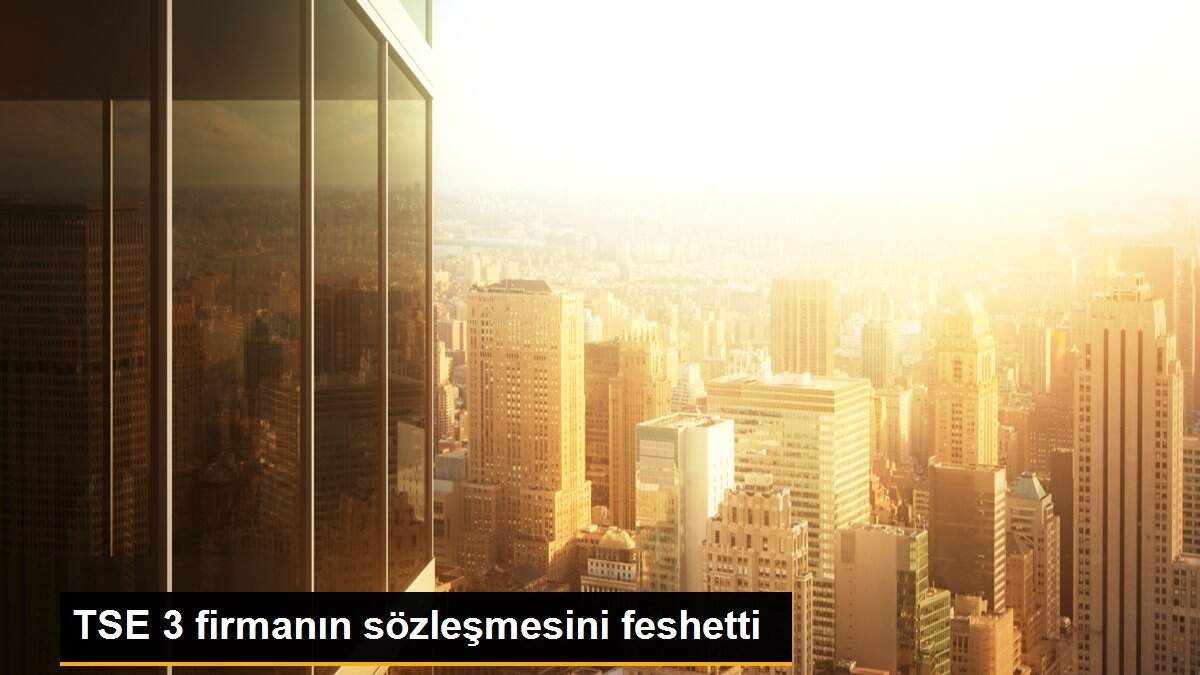 TSE 3 firmanın sözleşmesini feshetti