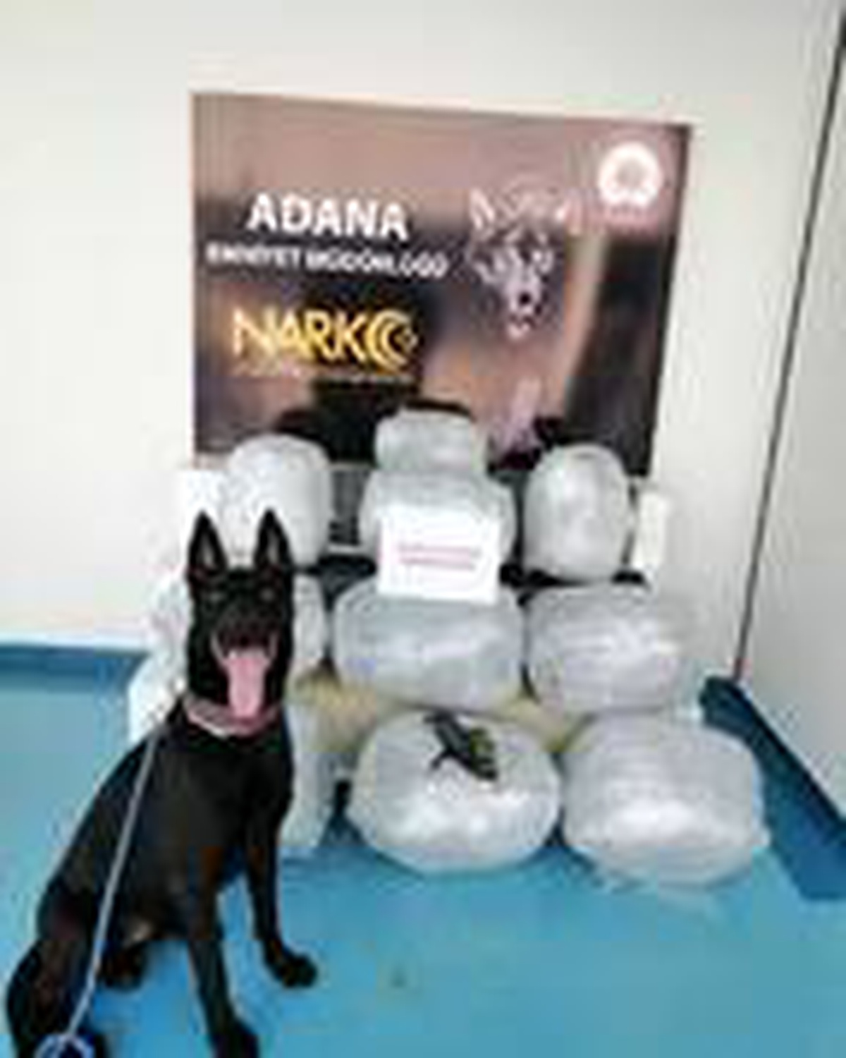 \'Uzi\', TIR\'daki 46 kilo 250 gram esrarı buldu