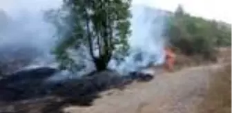 Adana'da çıkan yangında 8 hektarlık ormanlık alan zarar gördü