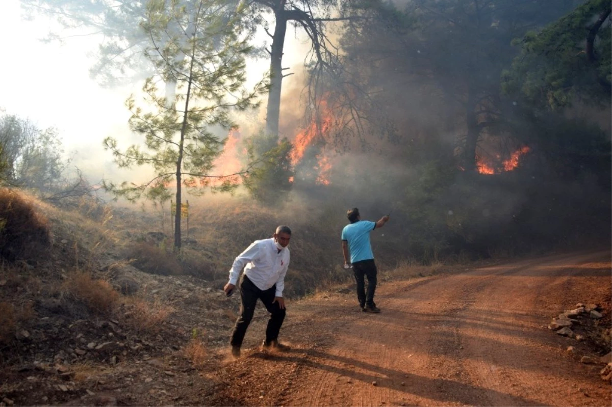 Son dakika haberi! Antalya\'da orman yangını