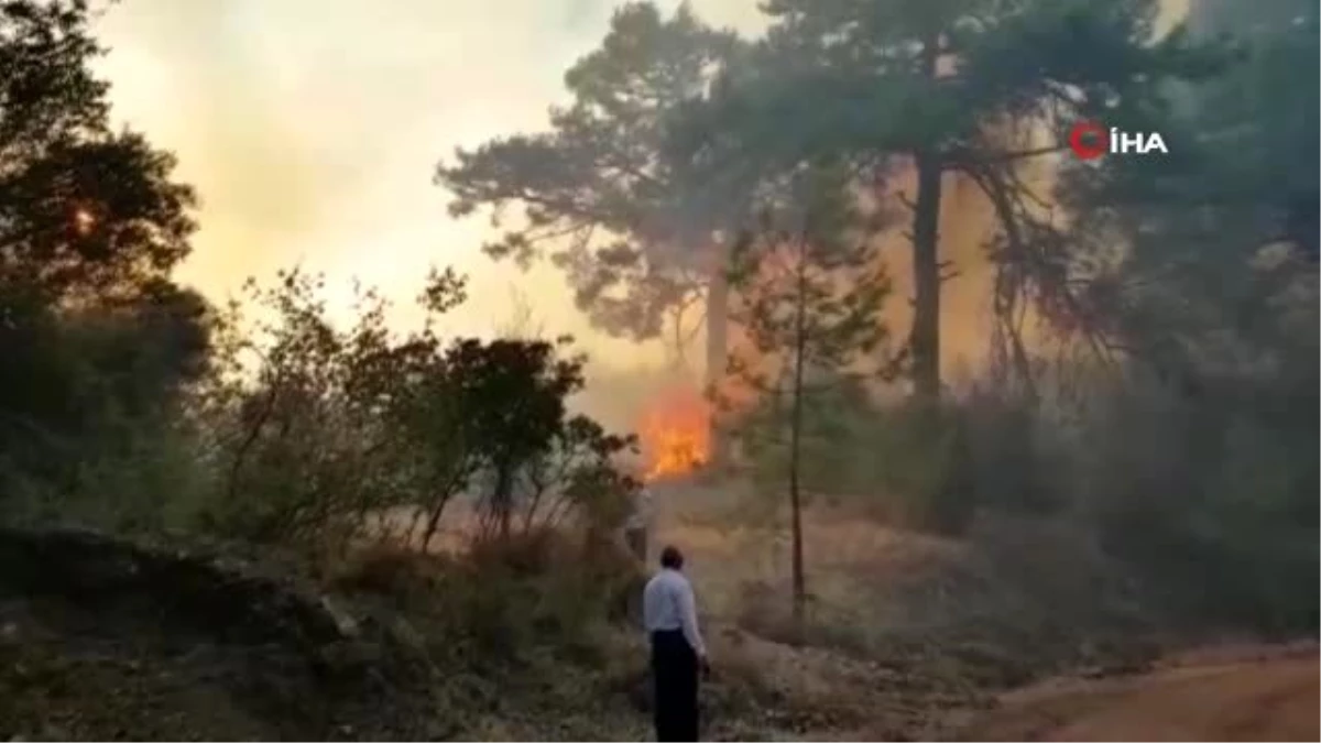 Antalya\'da orman yangını