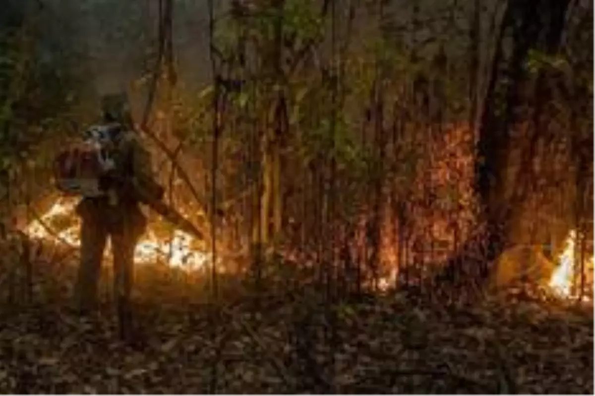 Fotoğraflarla: Brezilya\'da tropikal sulak alanları kasıp kavuran yangınlar