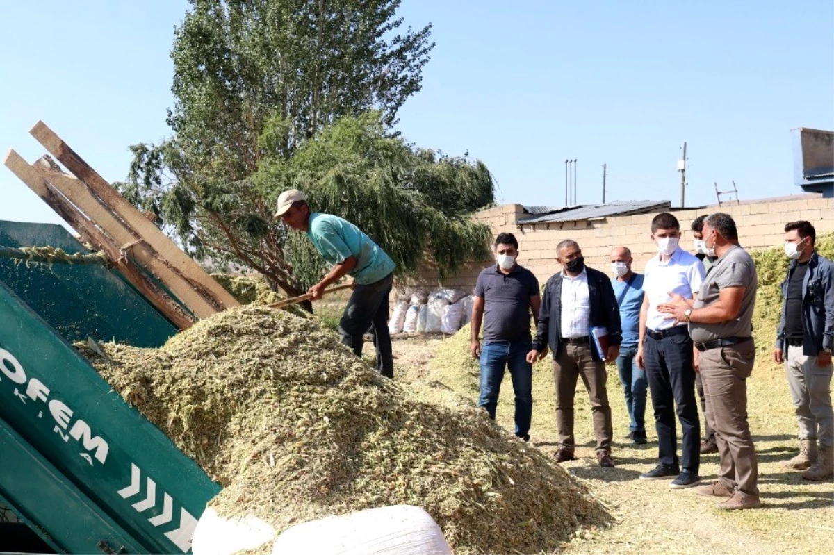 Gürpınar Kaymakamı Kayabaşı hasat çalışmalarını inceledi