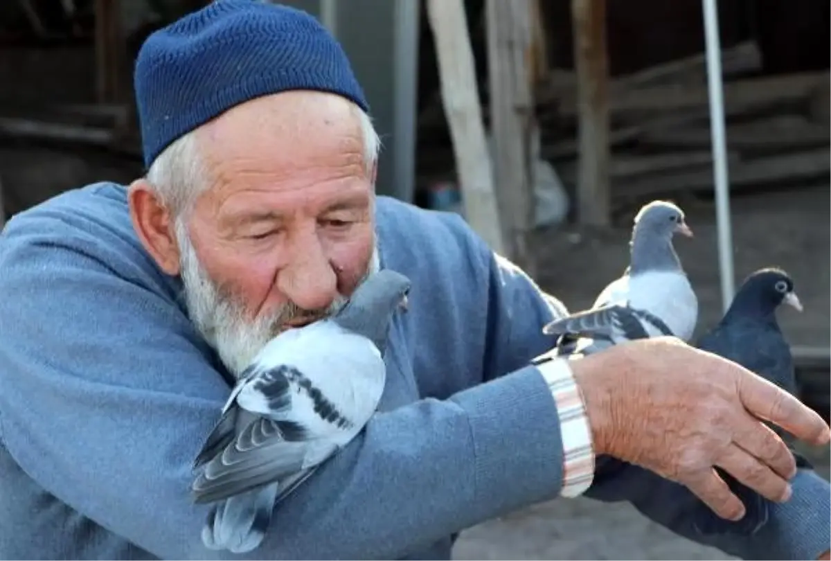 Güvercin besleyen Halil Dede, örnek oluyor