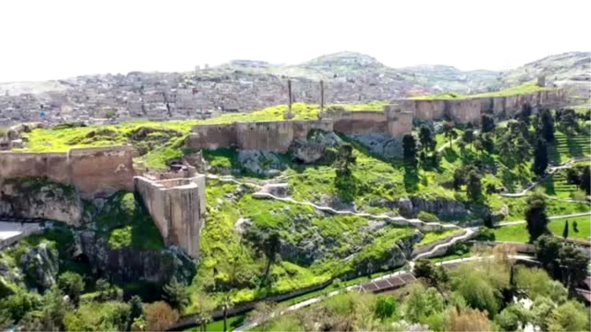 Son Dakika | Şanlıurfa\'da Kovid-19 tedbirleri sonuç vermeye başladı