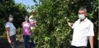 TIR'da 'Akdeniz meyve sineği vurmuş 1 portakal çıksa, hiçbir ülke ürünü kabul etmiyor'