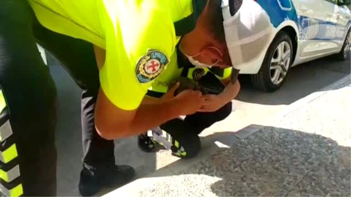 Son dakika haber... Trafik polisinin kaplumbağa duyarlılığı