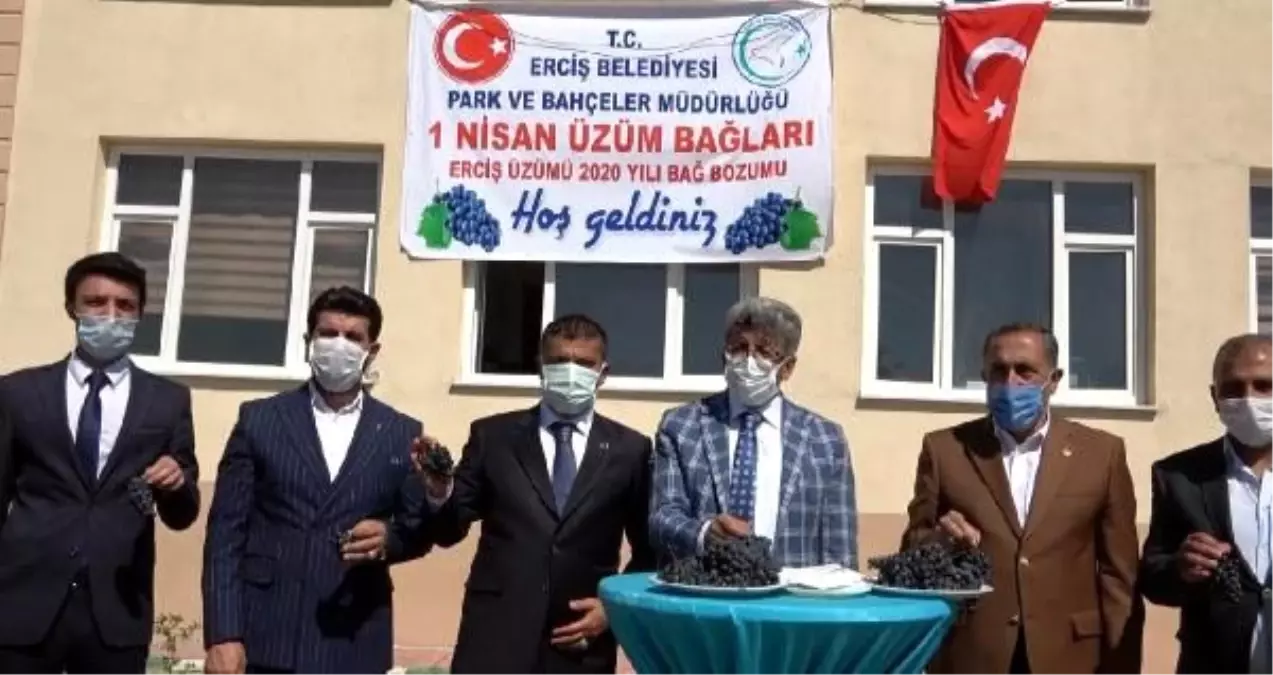 3 bin yıllık geçmişe sahip Erciş üzümünün bağ bozumu yapıldı