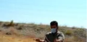 Ağaçtan yapılan çatal çubukla 'su' arıyor