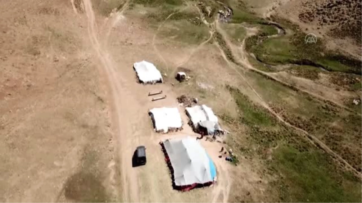 Bitlis\'te göçerler yayla sezonunu verimli geçirmenin mutluluğunu yaşıyor