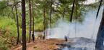 Aydın'da orman yangını kontrol altına alındı