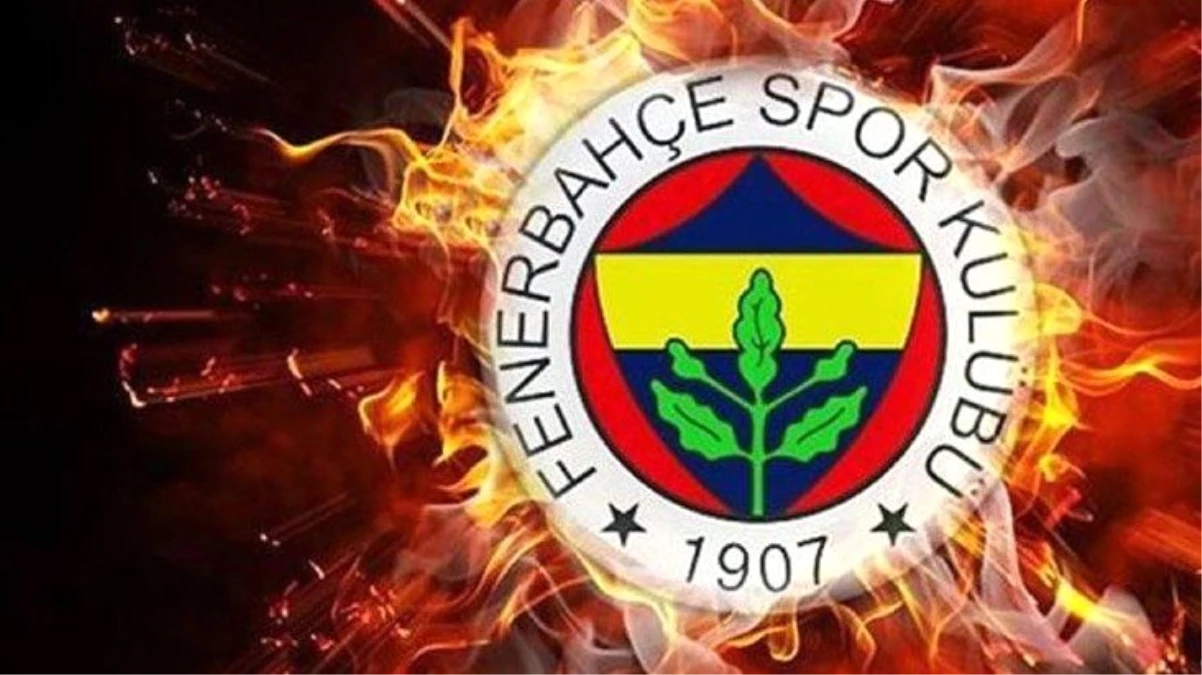 Fenerbahçe, harcama limiti nedeniyle TFF\'ye dava açıyor