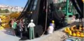 Karadeniz'de 'palamut' bolluğu