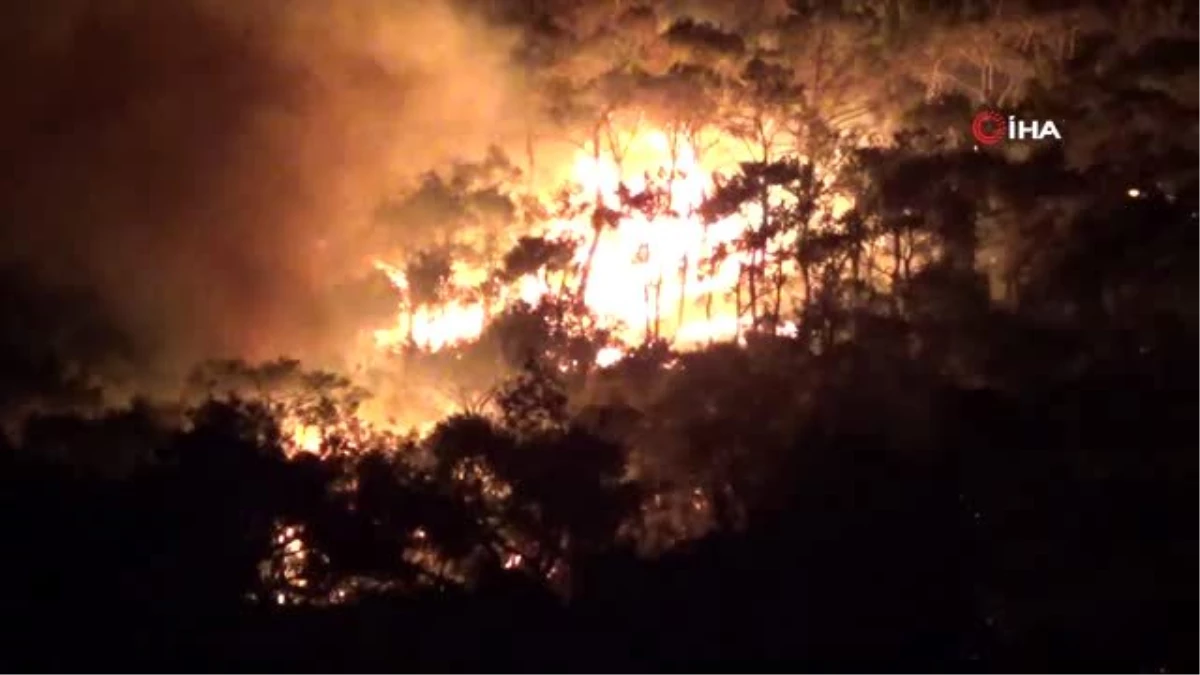 Ayvalık\'ta orman yangını yazlık konutları tehdit etmeye devam ediyor