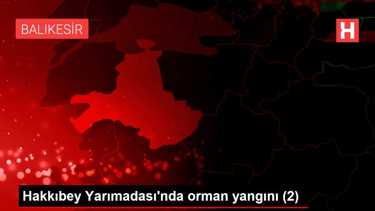 Hakkıbey Yarımadası'nda orman yangını (2)