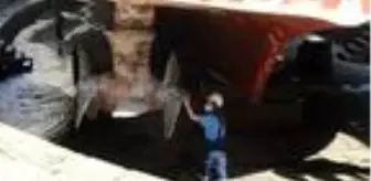 (Havadan fotoğraflarla) Kadın gemiciler ilk kez vapurlarda