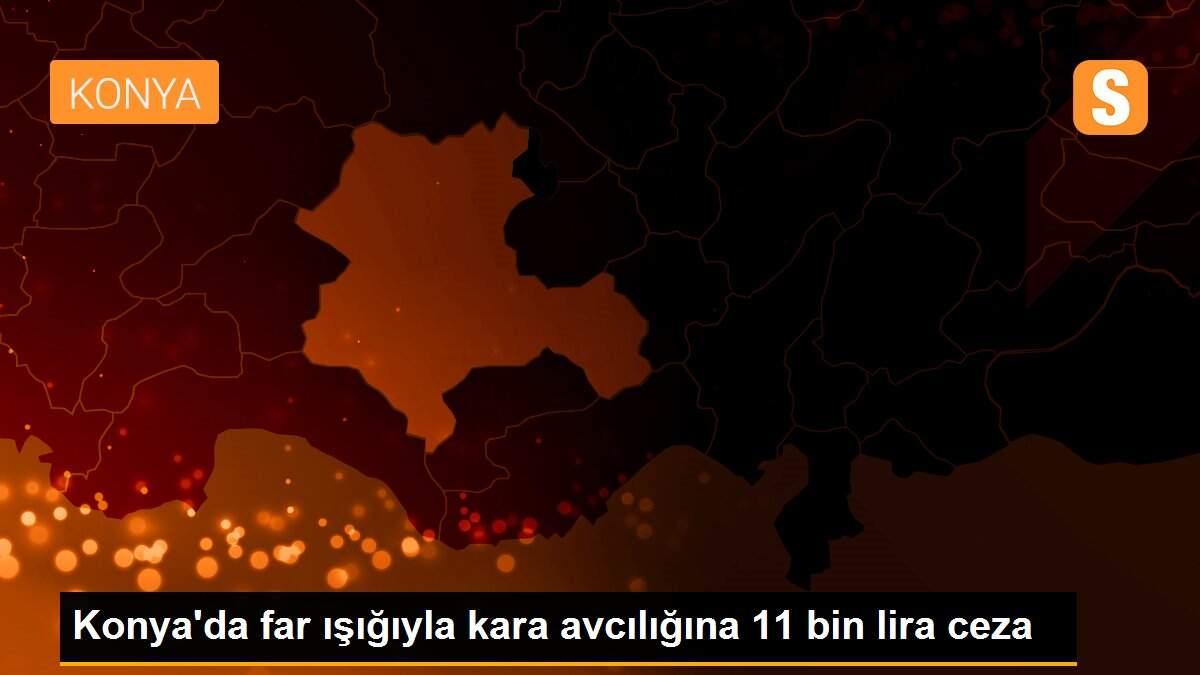 Konya\'da far ışığıyla kara avcılığına 11 bin lira ceza