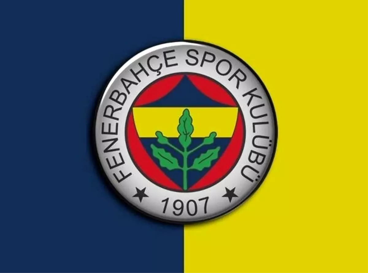 Sangare, Fenerbahçe\'de