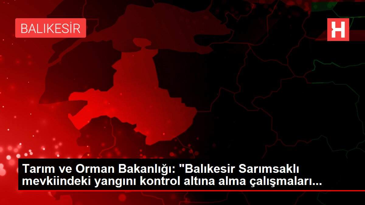 Tarım ve Orman Bakanlığı: 'Balıkesir Sarımsaklı mevkiindeki yangını kontrol altına alma çalışmaları...