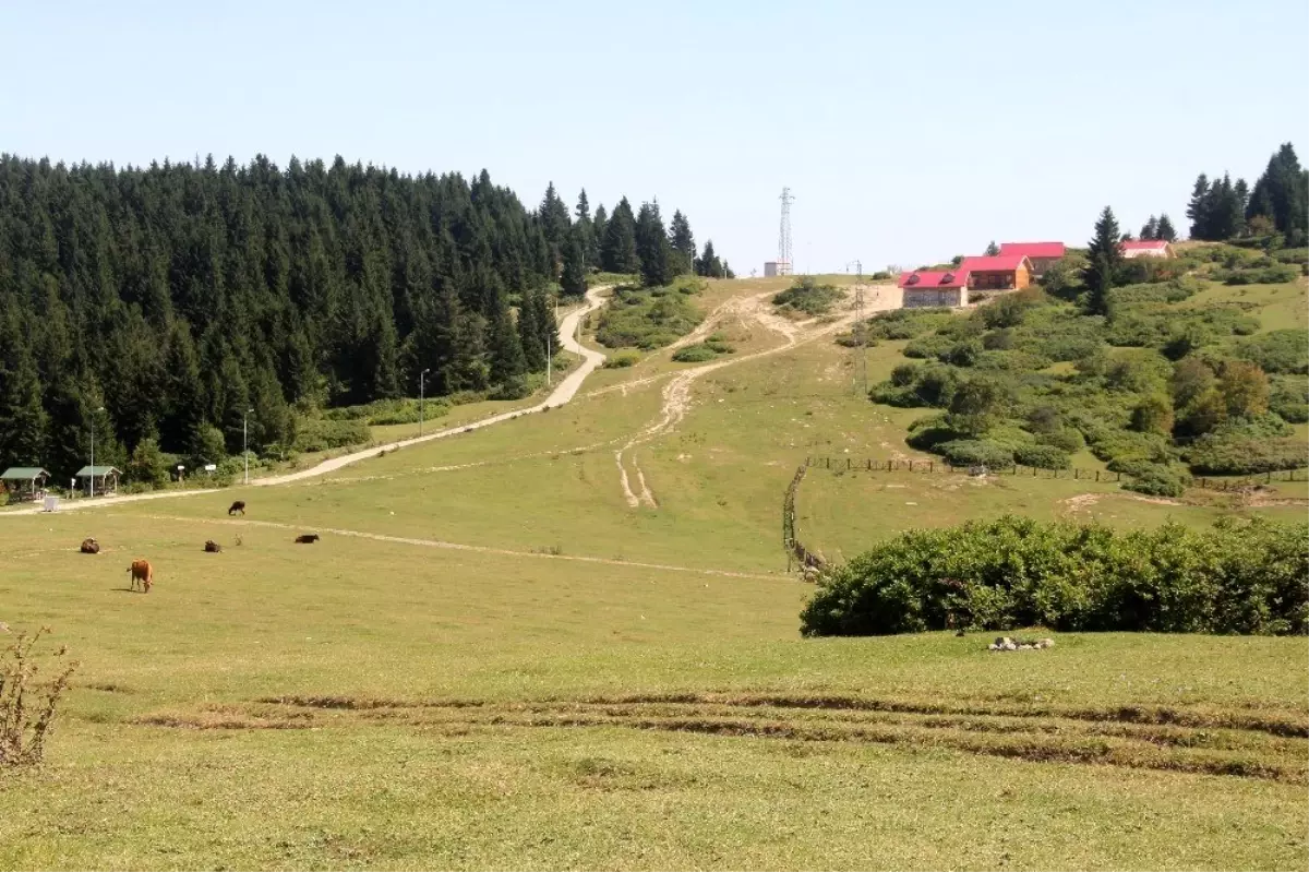 Yaylada mahalle kültürü konsepti oluşturuluyor