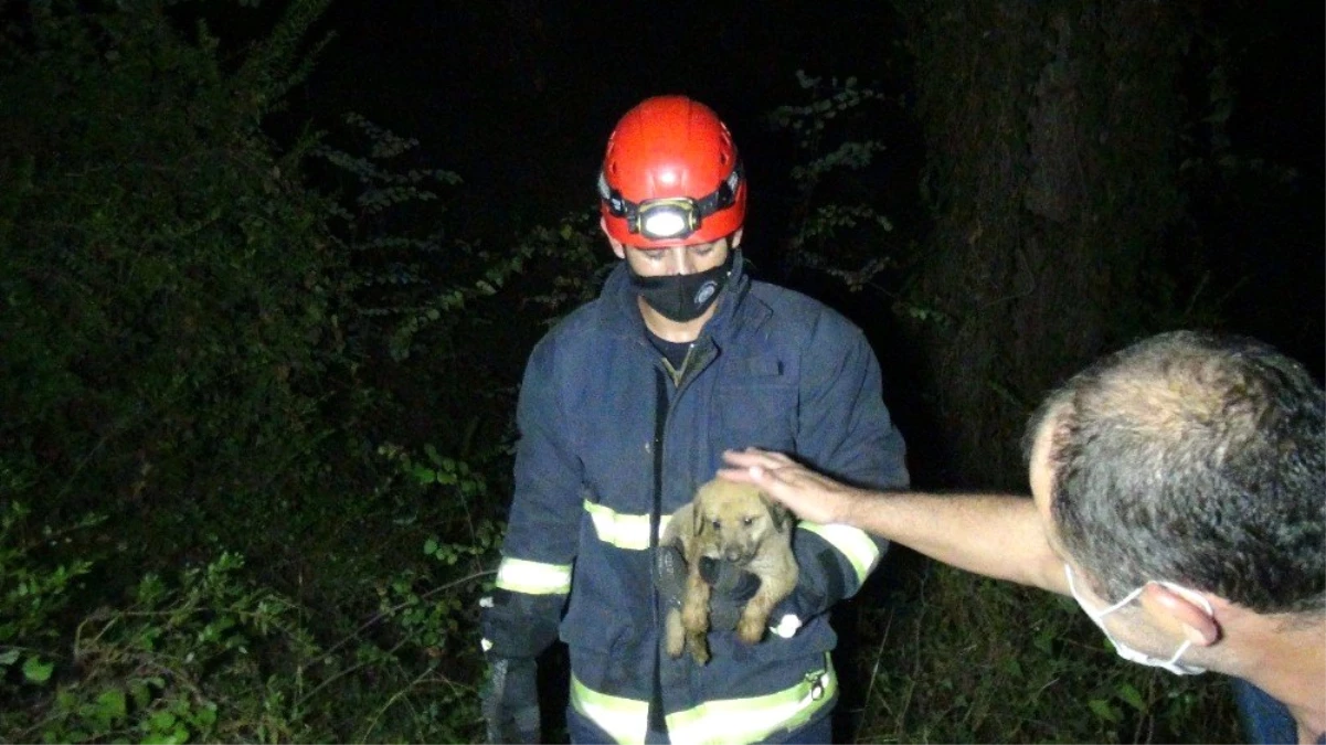 Son dakika haber | Antalya\'da köpeği kurtarmak isterken mahsur kalan vatandaşı kurtarma operasyonu