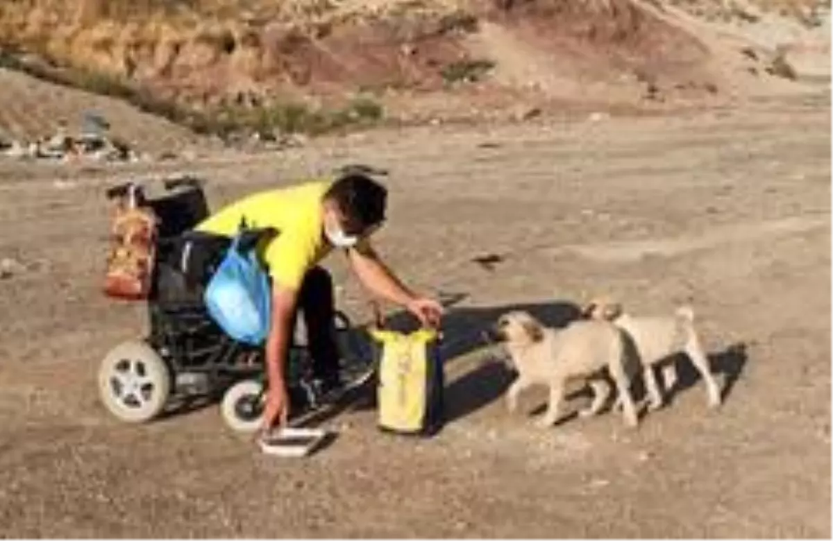 Engelli genç hayatını sokak hayvanlarına adadı