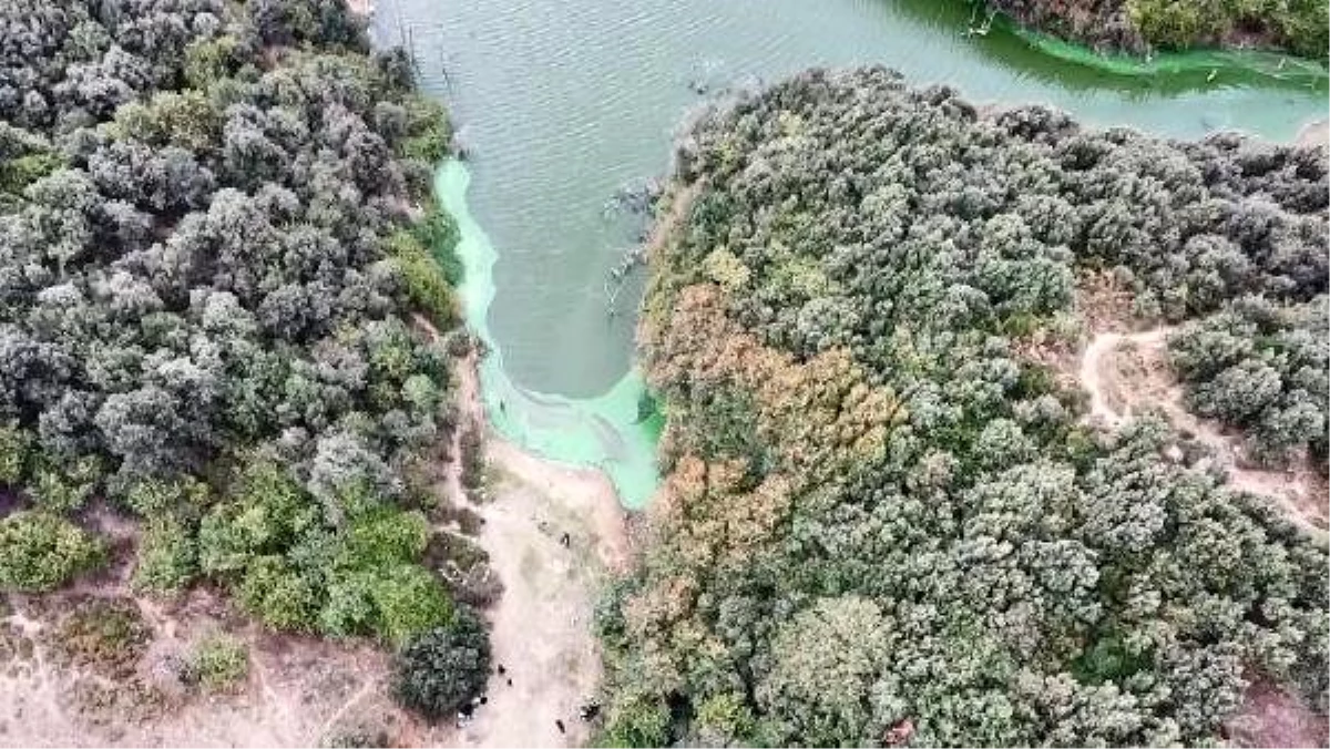 Eyüpsultan\'da bulunan Şahintepe Gölü\'ne dökülen kimyasal atık görenleri şaşırttı