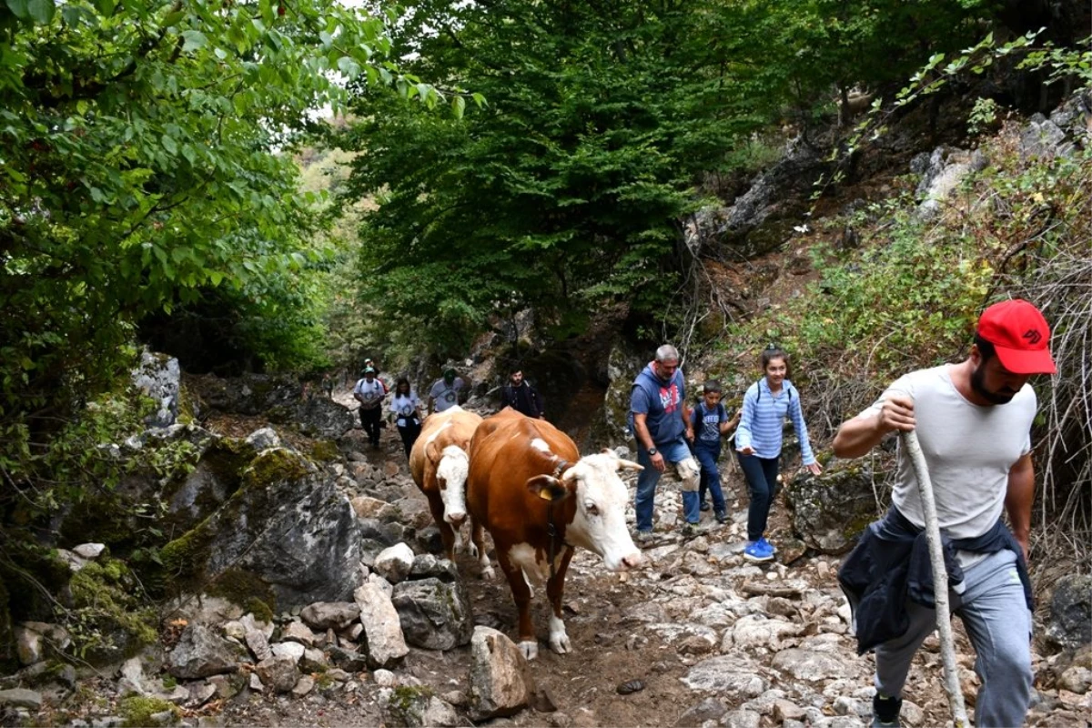 İznik\'in doğası yürüyüş severleri bekliyor