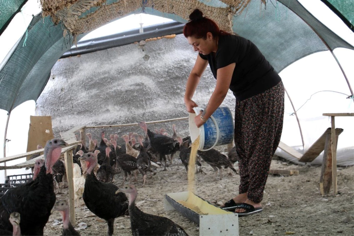 Son Dakika: Kendi çiftliğini kurdu, bir yılda 200 bin adet tavuk ve hindi satışı yaptı