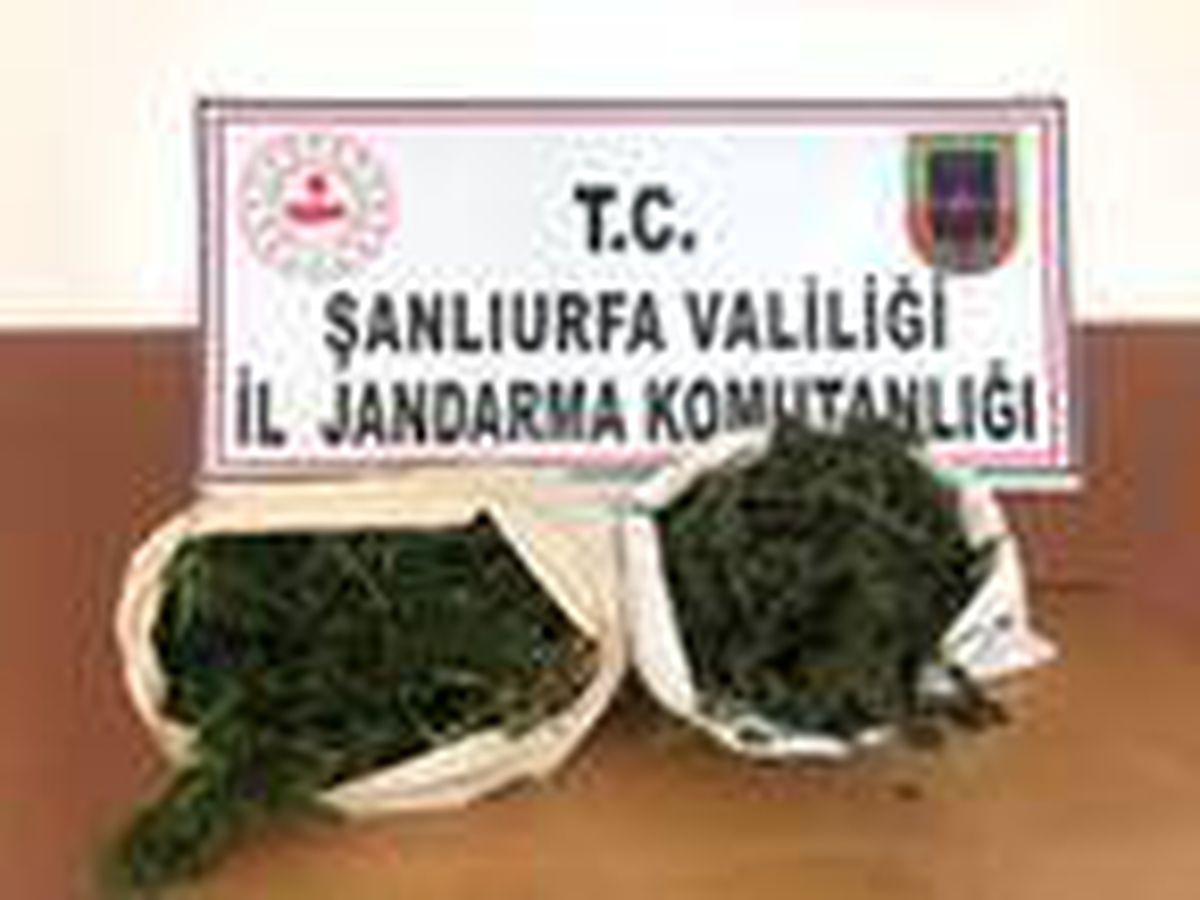 Son dakika... Şanlıurfa\'da uyuşturucu operasyonu: 2 tutuklama