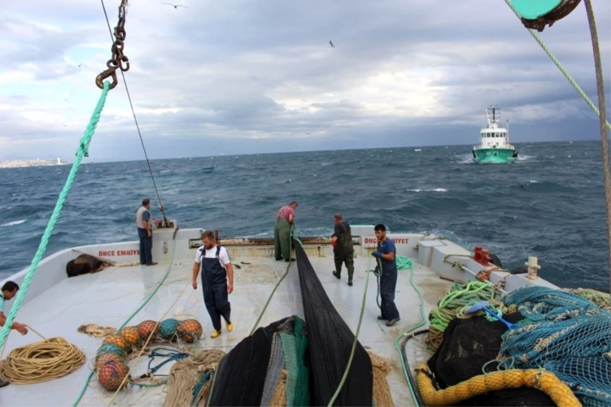 Yasa dışı balık av cezaları 50 bin TL\'ye kadar yükseltildi
