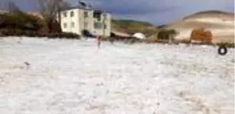 Ardahan'a kar gibi dolu yağdı! Vatandaşlar gözlerine inanamadı