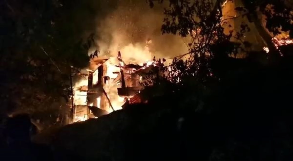 Artvin\'de 4 ev, alev alev yandı