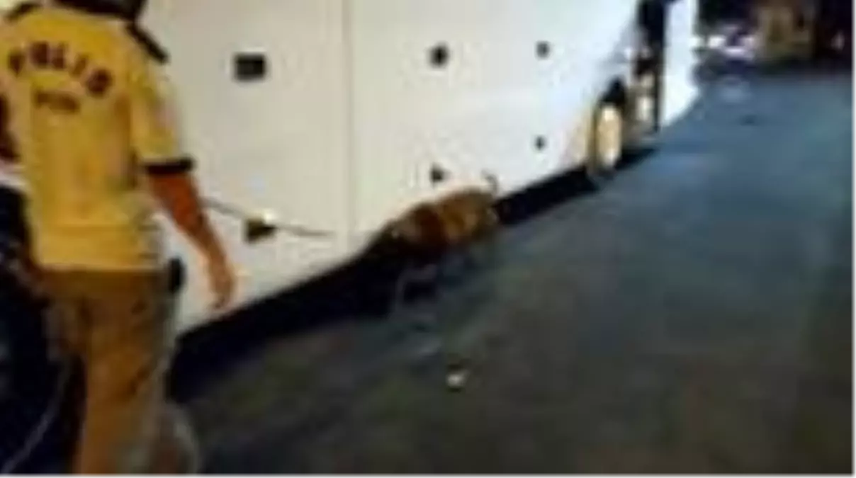 Son dakika! Bagajlarında kaçak tütün ürünleri bulunan 3 yolcuya gözaltı