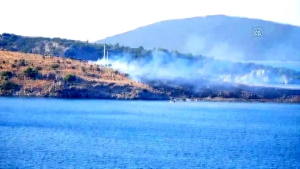 Son dakika haberleri! Bodrum\'da Büyük Ada\'da çıkan yangın söndürüldü