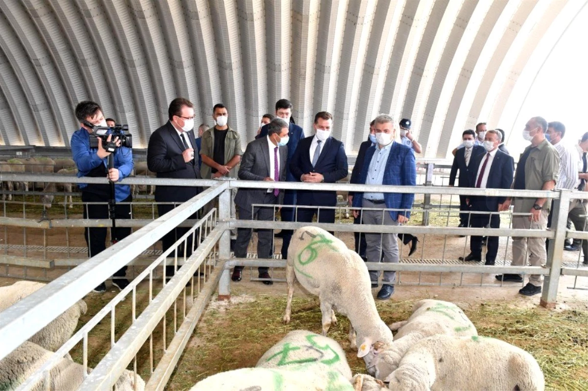 Büyükşehir Belediyesinden küçük ölçekli üreticiye destek