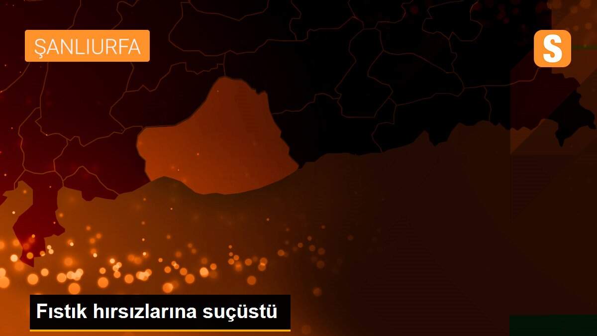 Fıstık hırsızlarına suçüstü