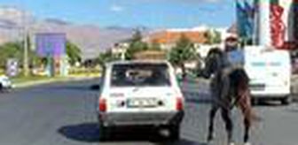 Otomobile bağladıkları atı kilometrelerce koşturdular