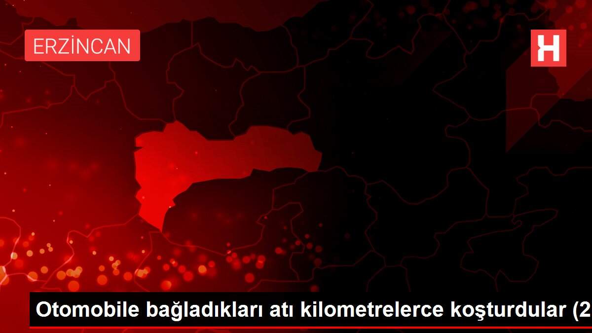 Son Dakika: Otomobile bağladıkları atı kilometrelerce koşturdular (2)