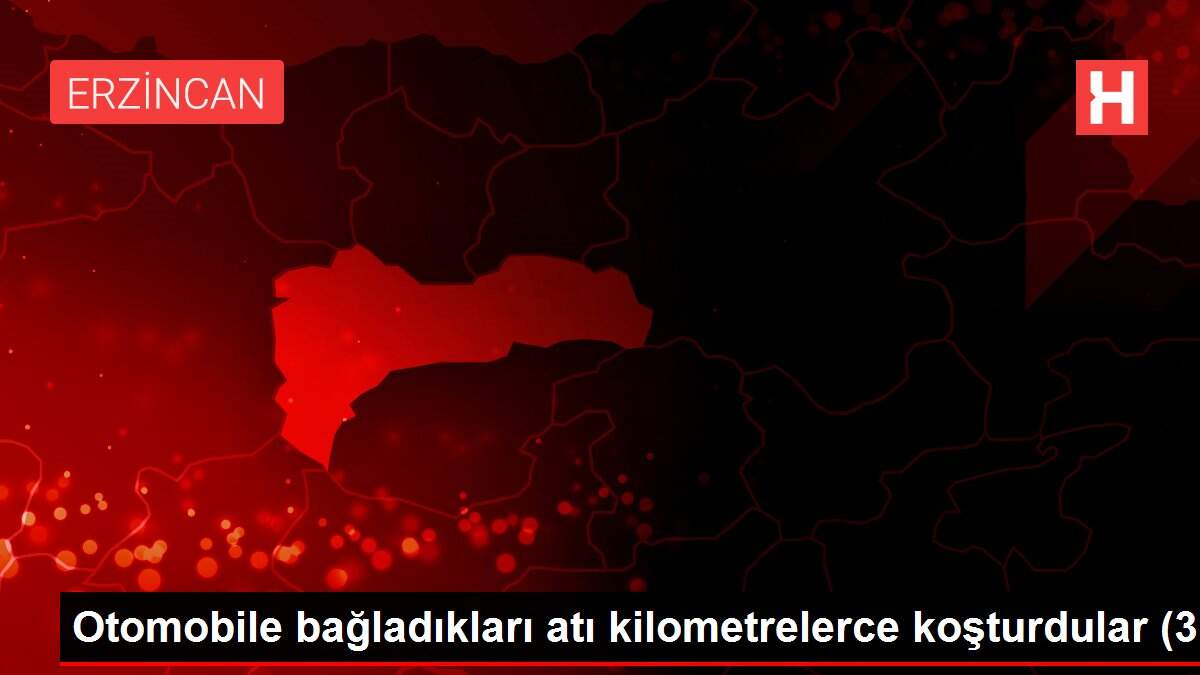 Otomobile bağladıkları atı kilometrelerce koşturdular (3)