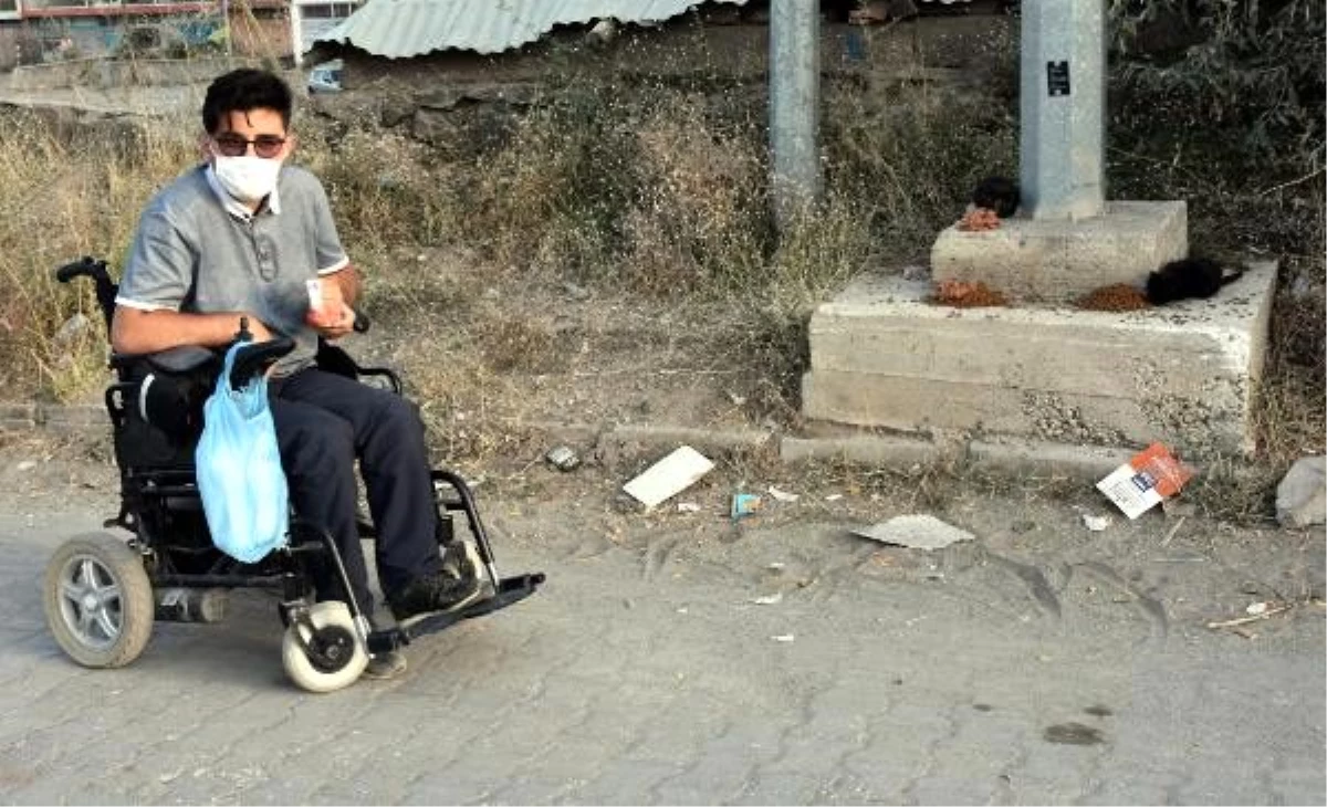 Akülü aracıyla, sokak sokak dolaşıp hayvanları besliyor