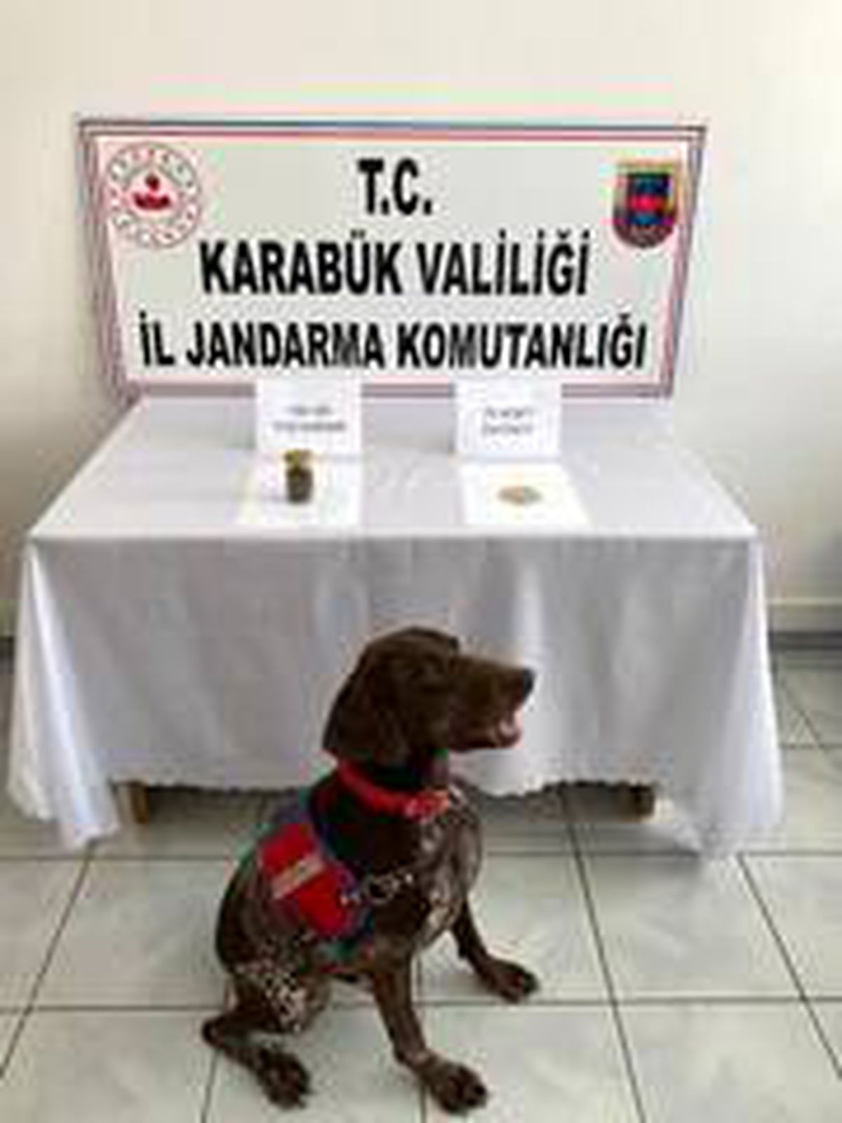 Son dakika... Jandarmadan uyuşturucu operasyonu