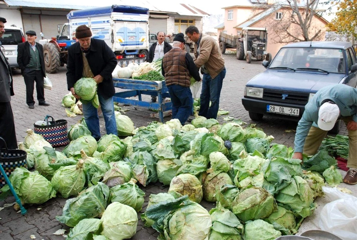 Pancar üretimi yüz güldürecek