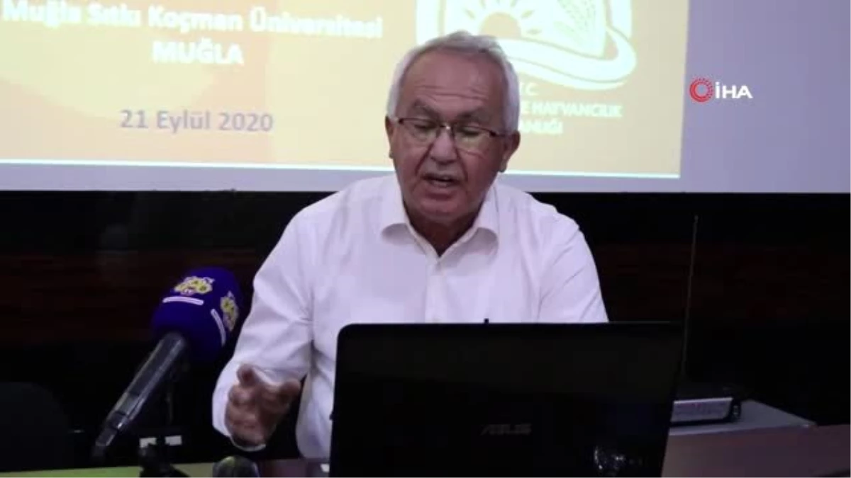 Prof. Dr. Emin Duru: "Kestane balı Alzheimer riskini azaltıyor"